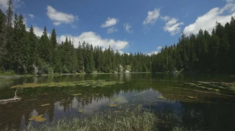 Small and shallow mountain lake surrounded with pine forest. Extreme wide shot. Stock Footage 8562017