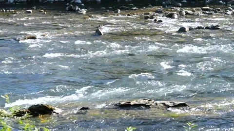 Small and shallow rocky river with rapids and waterfalls flows in the mountains Stock Footage 140079733