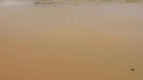 Small and soft ocean or sea wave or wave setup on golden yellow sand beach fo Stock Footage 155222664