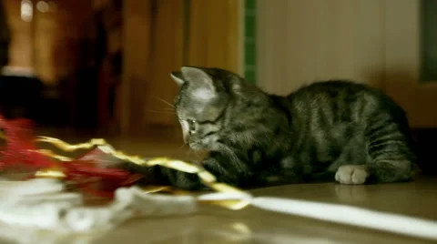 A small and sweet kitten playing with decorations of a gift. Video stock 58894467