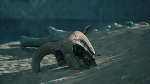 A small animal skull on a sandy surface 스톡 일러스트