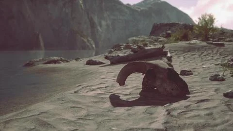 A small animal skull on a sandy surface Illustrazione stock