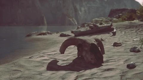 A small animal skull on a sandy surface Stock Illustration
