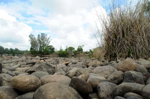 Small animals point of view Stock Photos