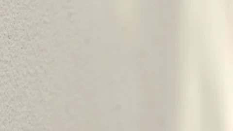 Small ant Walking Wall. Stock Footage 99888177