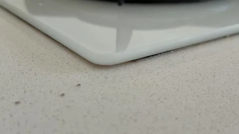 Small ants are running around in the kitchen Stock Footage 340017081
