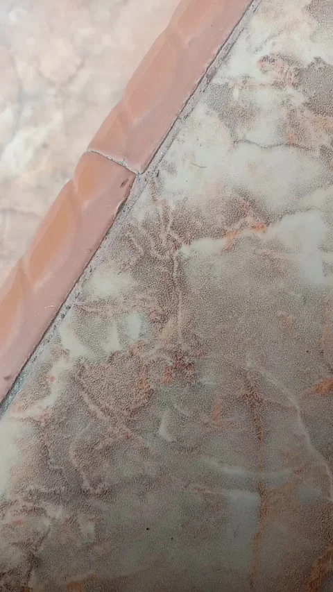 Small ants Stock Footage 287094170