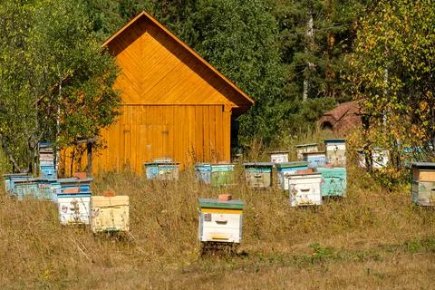 Small apiary. Colored bee hives. Summer day Foto stock