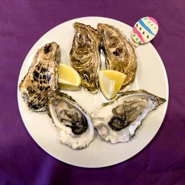 A small appetizer, five oysters Stock Photos