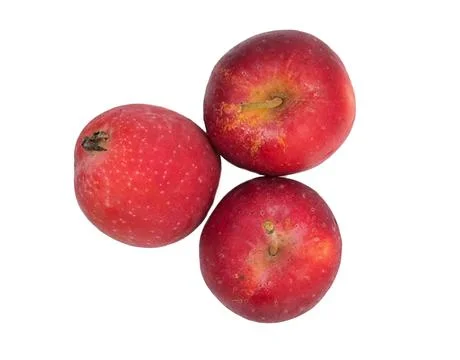 Small apple Stock Photos