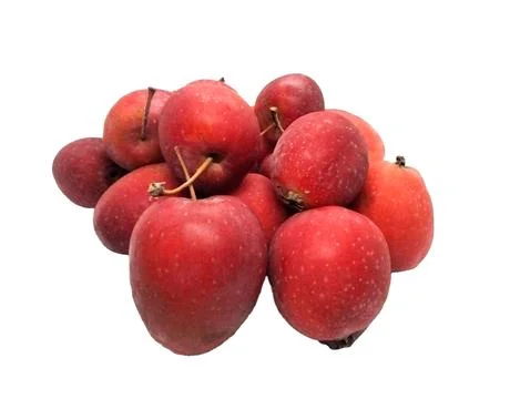 Small apple Stock Photos