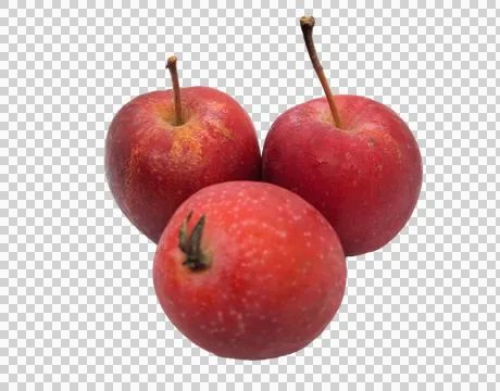 Small apple Stock Photos