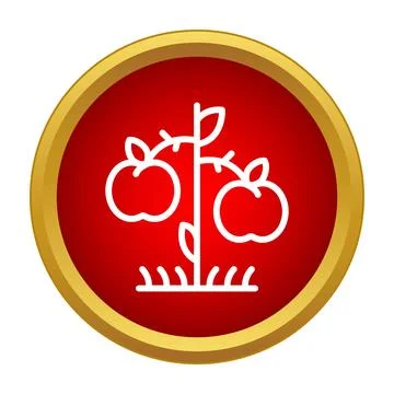 Small apple tree growing on red background イラスト素材