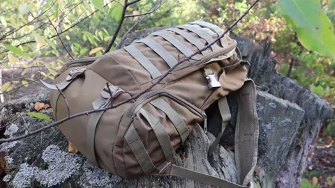 A small army backpack in coyote color on a tree stump in a summer forest