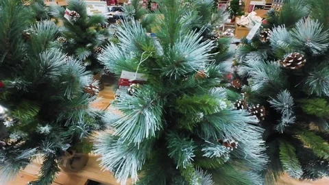 Small artificial Christmas trees with pinecones on display in a store. Stock-Footage 323876542