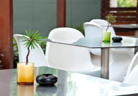 Small artificial coconut tree on the table Stock Photos