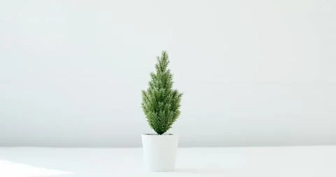 Small artificial decorative Christmas tree Stock Footage 164071850
