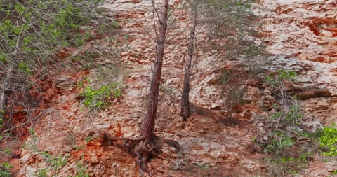 Small artificial lake created in a former quarry in Modugno, near Bari. Natur Video stock 196940101