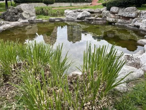 Small artificial lake Stock Photos