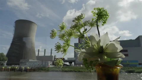 Small Artificial Plant on Windowsill with Cooling Tower in Background Stock Footage 277361142