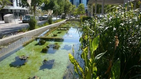 Small artificial pond with goldfish  Stock Footage 166662908