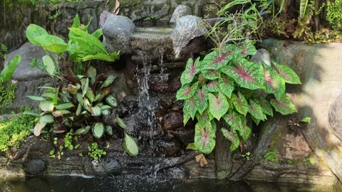 Small artificial stone waterfall fountain in a tropical garden Stock Footage 339009720