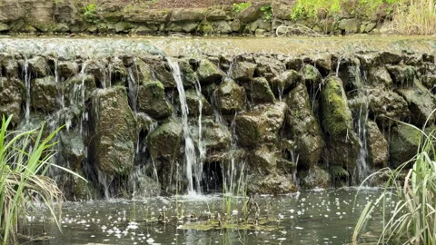 Small Artificial Waterfall Flowing Over Stone Dam in a Quiet Park Pond Stock Footage 333185975