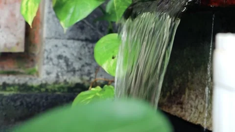 Small artificial waterfall surrounded by lush green plants, creating a peac.. Stock Footage 297148055
