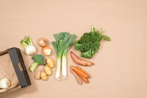 Small Assortment of Fresh Vegetables with Copy Space Foto stock