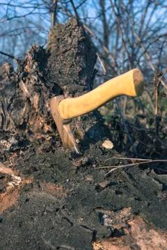 Small axe Stock-Fotos