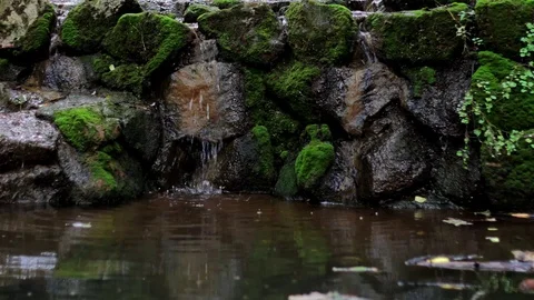 Small babbling 01 Stock Footage 113861356