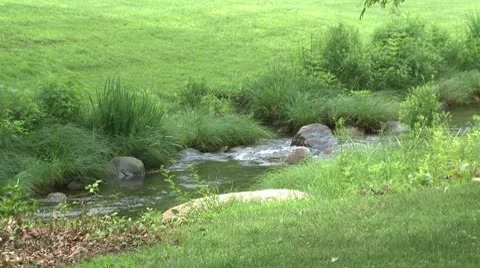 A small babbling brook Vídeos de archivo 10771645