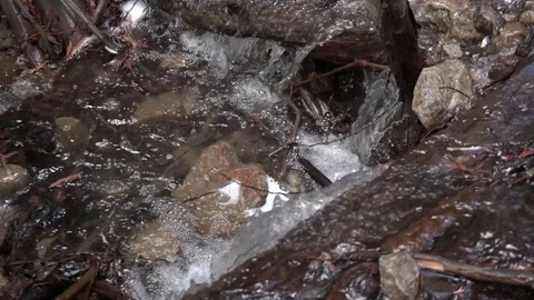 Small babbling brook Stock Footage 88010982