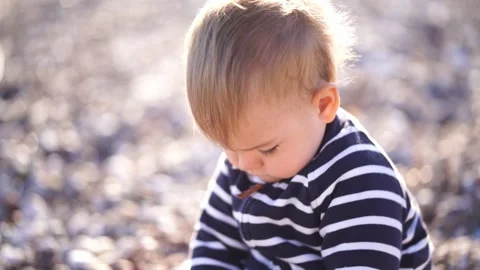 Small baby plays with the pebbles while sitting on the beach Stock Footage 281058089