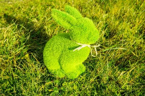 Small baby rabbit easter in the fresh, green spring landscape. Stock Photos