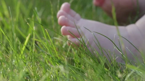 Small baby's cute feet on the grass Stock Footage 65002844
