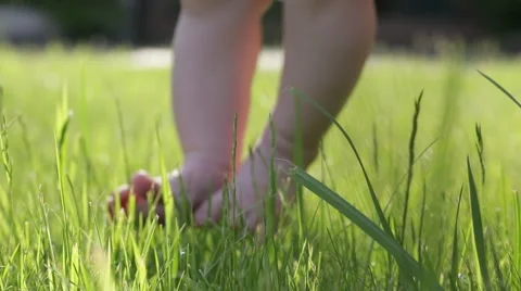 Small baby's cute feet on the grass Stock Footage 65003003