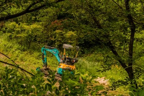 Small backhoe sitting idle Foto stock