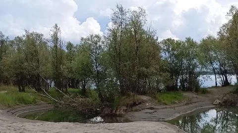 A small backwater connected by a canal to the river bed, surrounded by thic.. Foto stock
