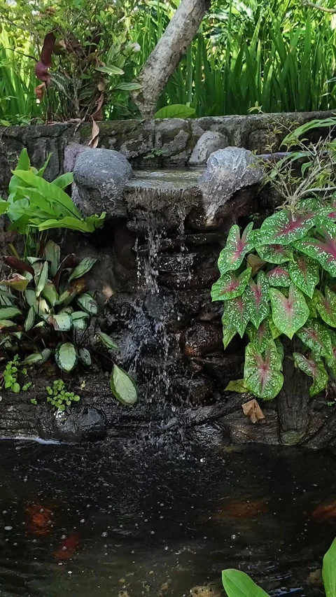 Small Backyard Stone Waterfall in Garden with Koi Fish Pond Stock Footage 337230803