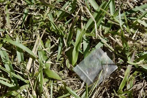 Small bag in grass Foto stock