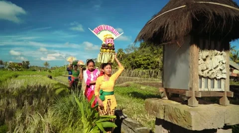 Small balinese procession going to temple between rice fields 動画素材 65750011