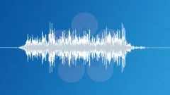 SMALL BALL ROLL ON WOODSound Effect