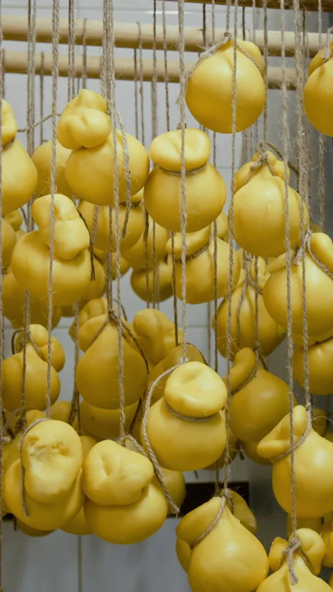 Small Balls of Stretched Cheese Hanging on Twine in Aging Chamber Stock Footage 294161824