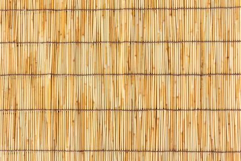 Small bamboo lined with a rope. Used for curtain Stock Photos