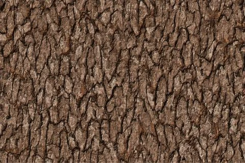 Small bark texture background Stock Illustration