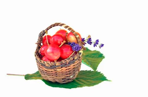 Small basket with red cherries Stock Photos