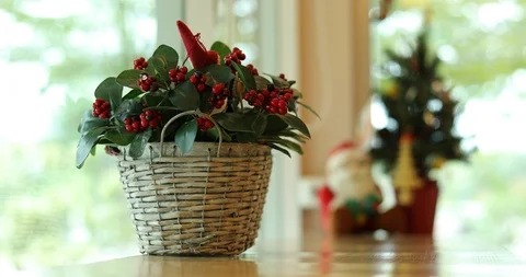 Small basket vase decorated interior in cafe Stock Footage 90370647