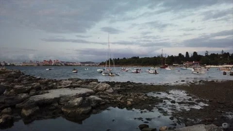 Small bay next to a forrest and small boats and a luxury yacht parked. Stock Footage 153371131