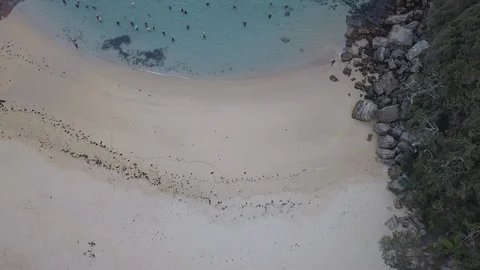 Small beach aerial view Stock Footage 93680088